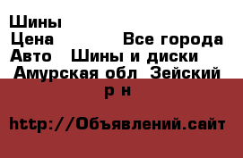 Шины bridgestone potenza s 2 › Цена ­ 3 000 - Все города Авто » Шины и диски   . Амурская обл.,Зейский р-н